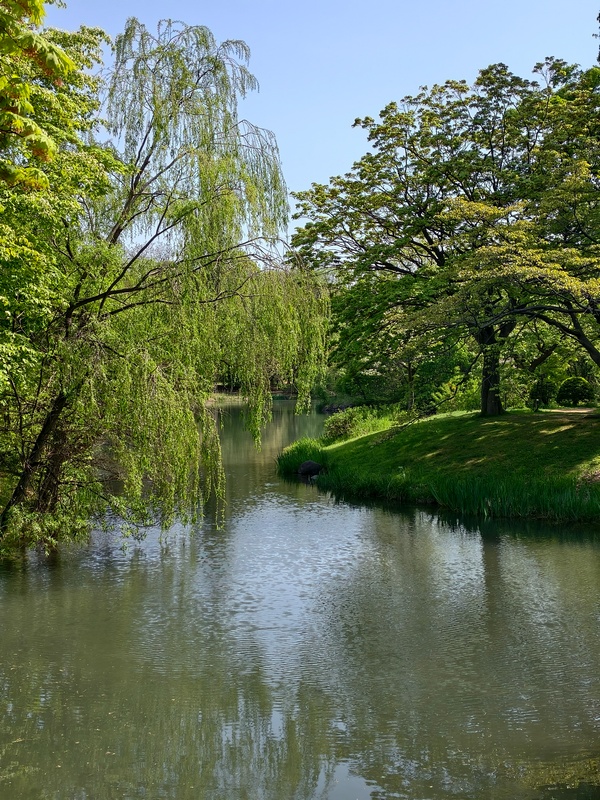 3O39X5.jpg