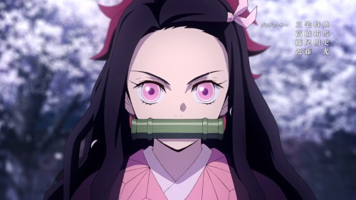 [HorribleSubs] Kimetsu no Yaiba 01 [1080p].mkv snapshot 22.09.519