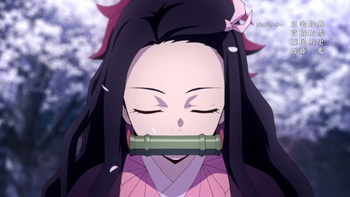 [HorribleSubs] Kimetsu no Yaiba 01 [1080p].mkv snapshot 22.08.703