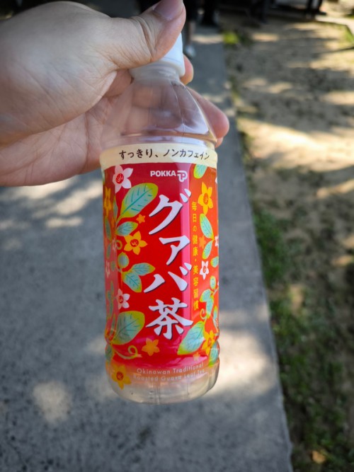 IMG 20240901 151308